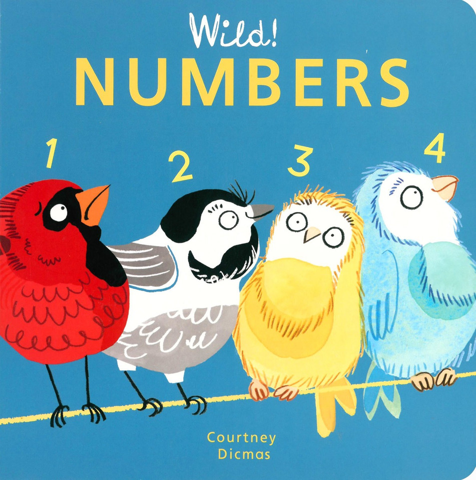 Numbers Cover