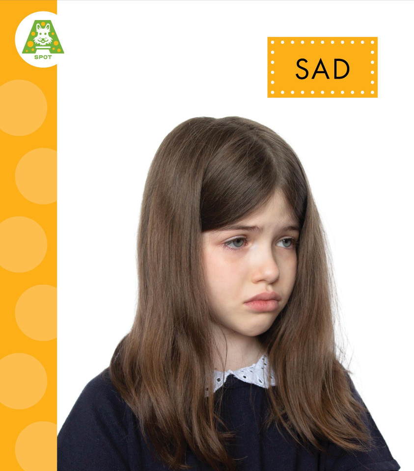 Sad book cover by Alissa Thielges