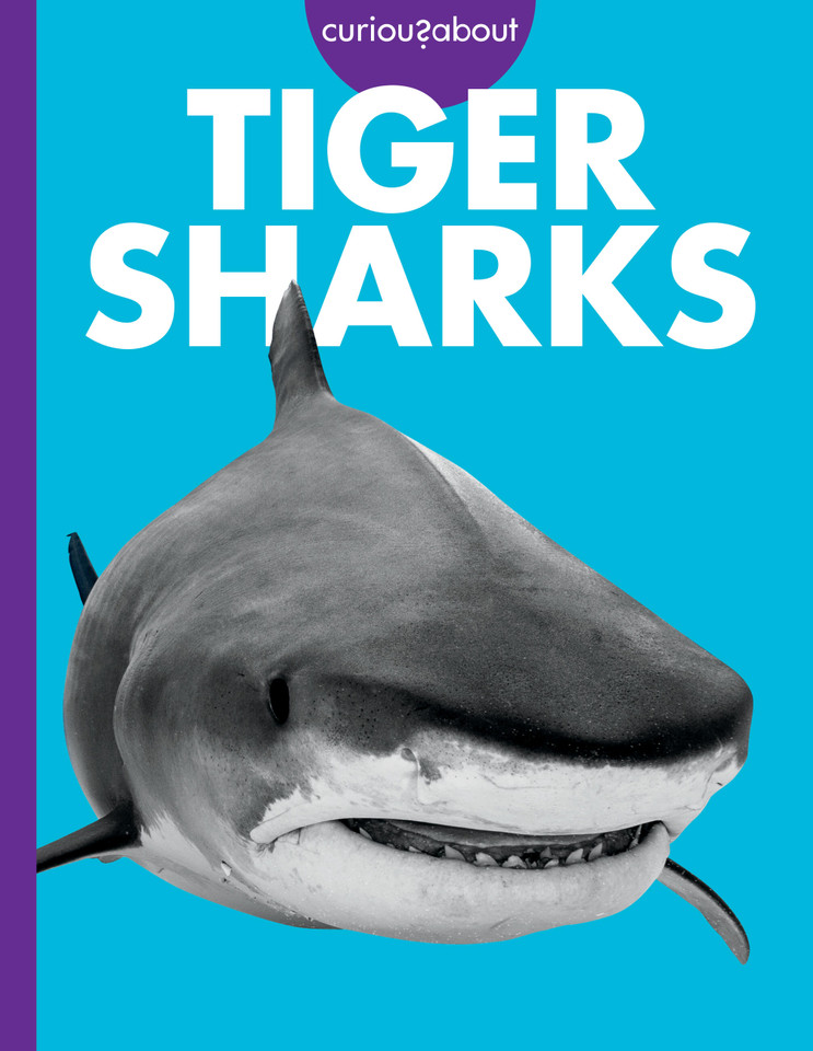 Curious about Tiger Sharks book cover by Debra Randorf