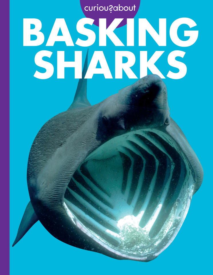 Curious about Basking Sharks book cover by Monika Davies
