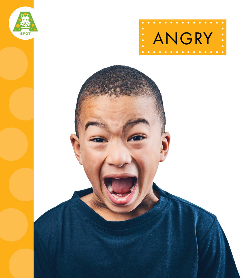 Angry book cover by Alissa Thielges