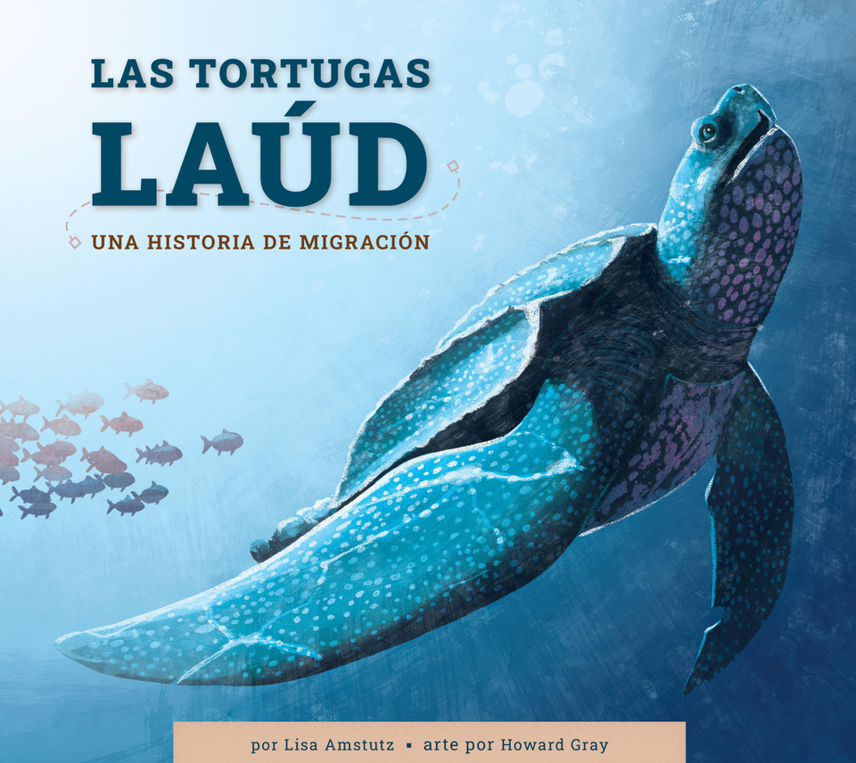Las tortugas laud: Una historia de migración book cover by Lisa Amstutz