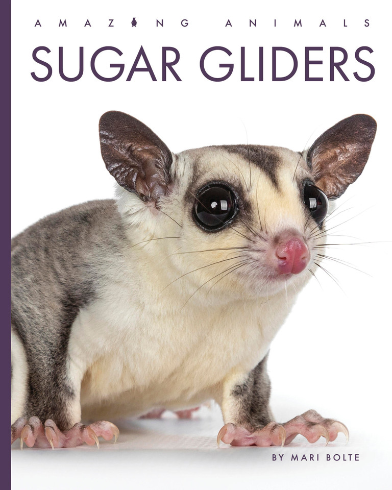 Sugar Gliders (Amazing Animals) book cover by Mari Bolte