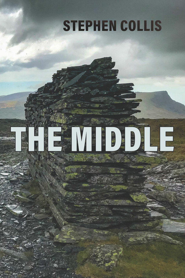 The Middle book cover by Stephen Collis