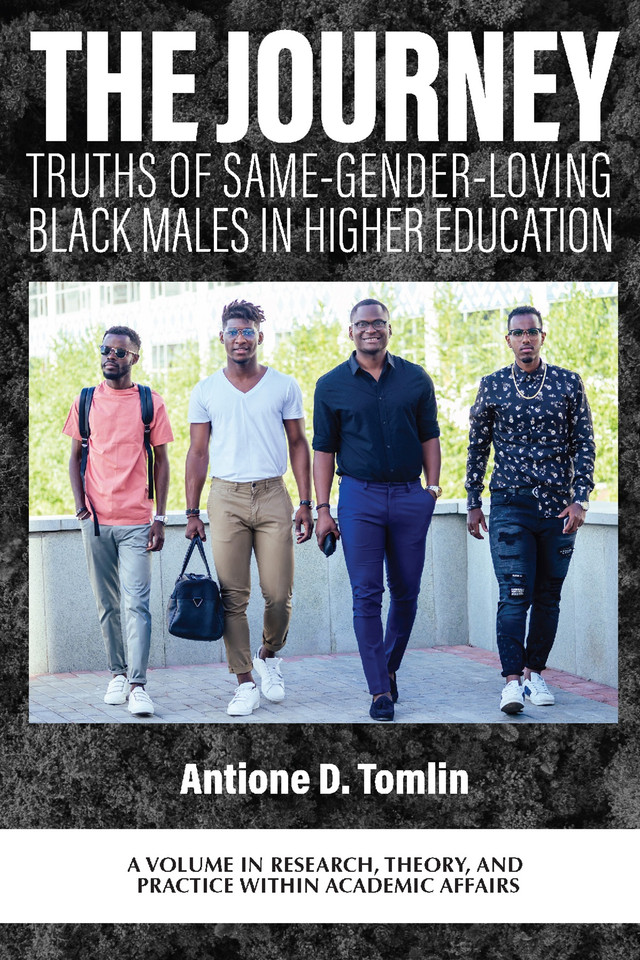 The Journey: Truths of Same-Gender-Loving Black Males in Higher Education (Research, Theory, and Practice Within Academic Affairs) book cover by 