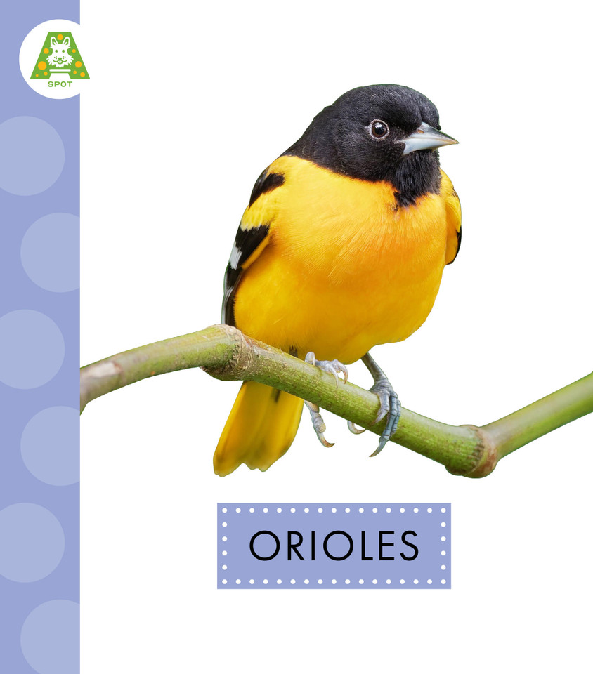 Orioles (Spot Backyard Birds) book cover by Anastasia Suen