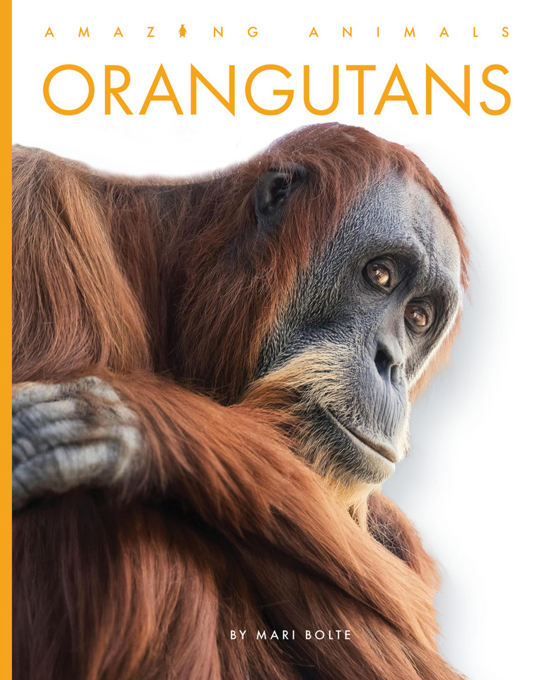 Orangutans (Amazing Animals) book cover by Mari Bolte
