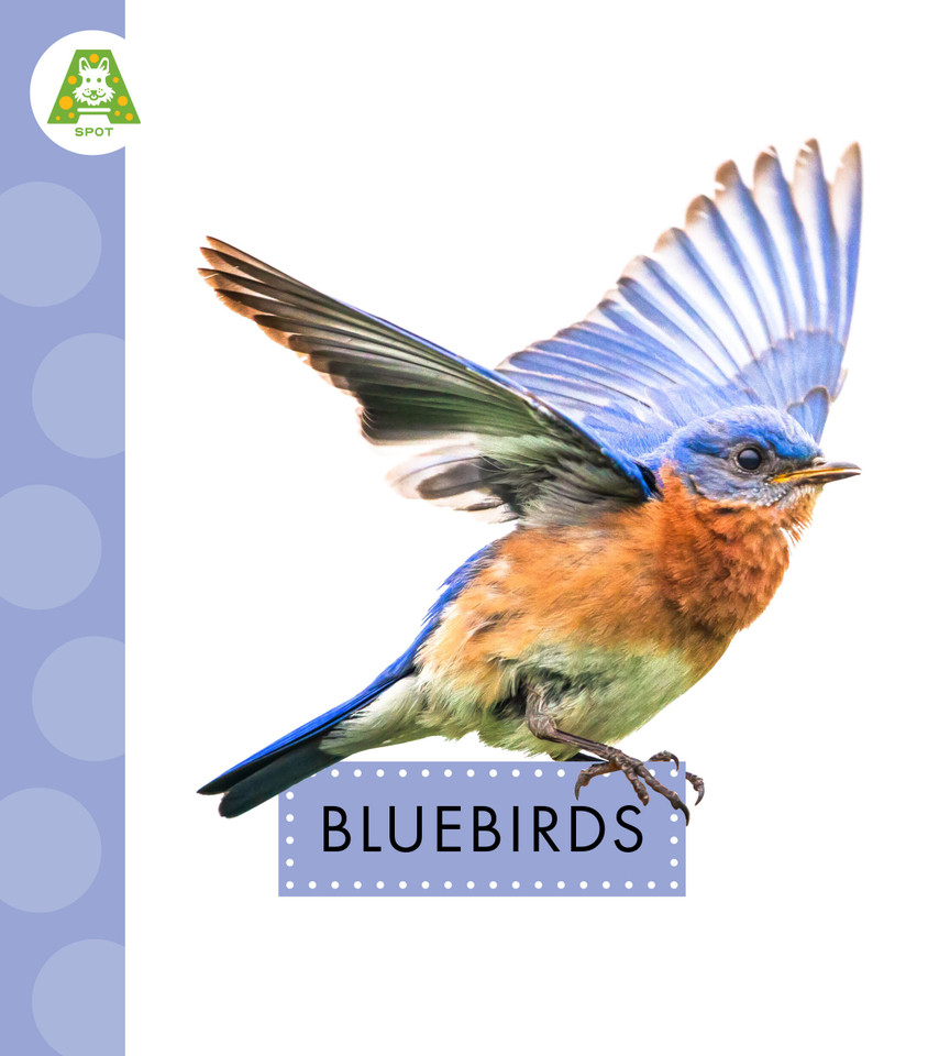 Bluebirds (Spot Backyard Birds) book cover by Anastasia Suen