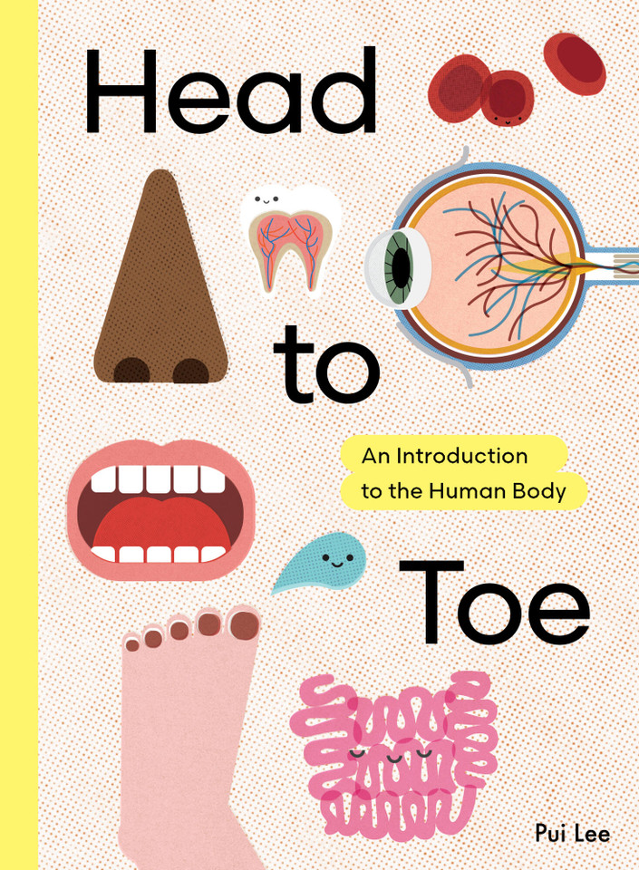 Head to Toe: An Introduction to the Human Body book cover by Pui Lee