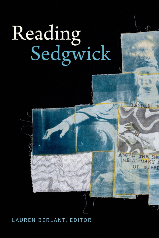 Reading Sedgwick (Theory Q) book cover by 
