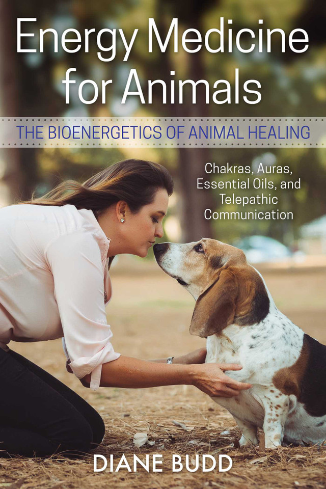 Energy Medicine for Animals: The Bioenergetics of Animal Healing book cover by Diane Budd