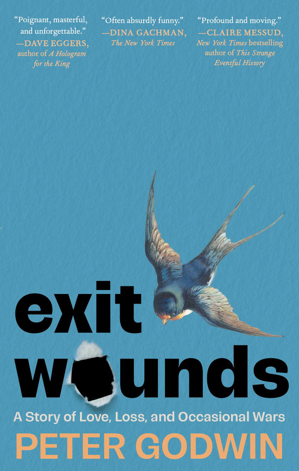 Exit Wounds: A Story of Love, Loss, and Occasional Wars book cover by Peter Godwin