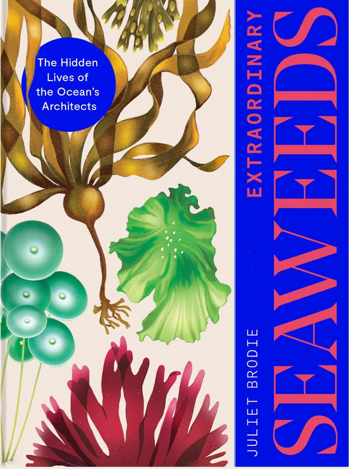 Extraordinary Seaweeds: The hidden lives of the ocean's architects book cover by Juliet Brodie