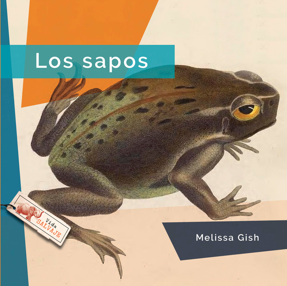 Los sapos book cover by Melissa Gish