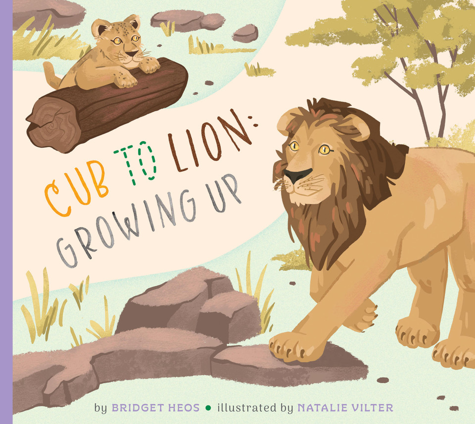 Cub to Lion: Growing Up book cover by Bridget Heos