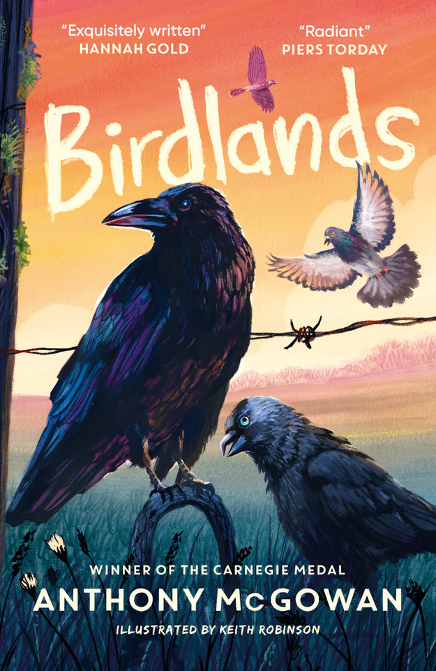 Birdlands: Shortlisted for the Children's Wainwright Prize 2026 book cover by Anthony McGowan