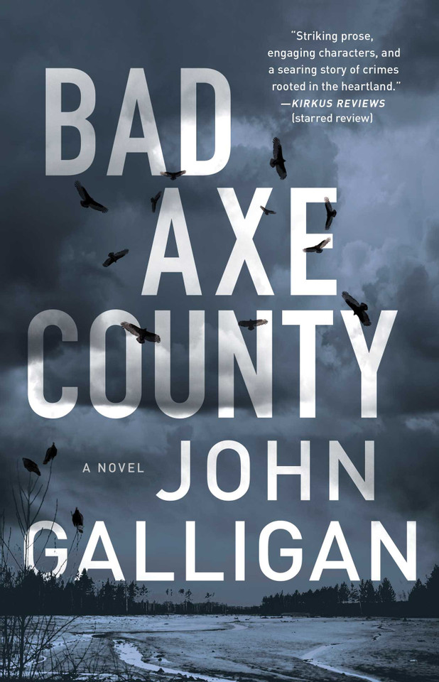 Bad Axe County: A Novel (A Bad Axe County Novel) book cover by John Galligan