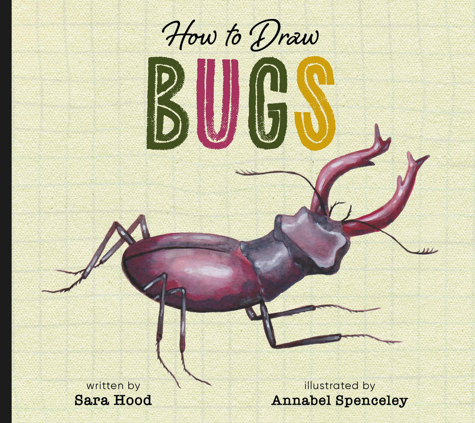 How to Draw Bugs book cover by Sara Hood