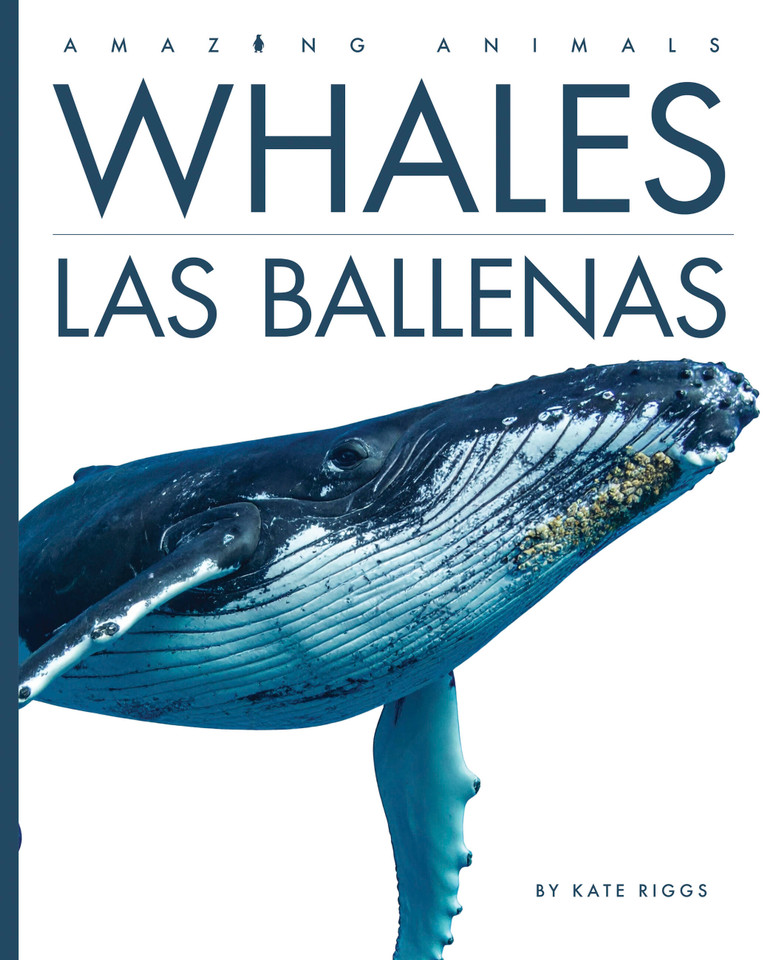 Whales / Las ballenas (Amazing Animals) book cover by Kate Riggs