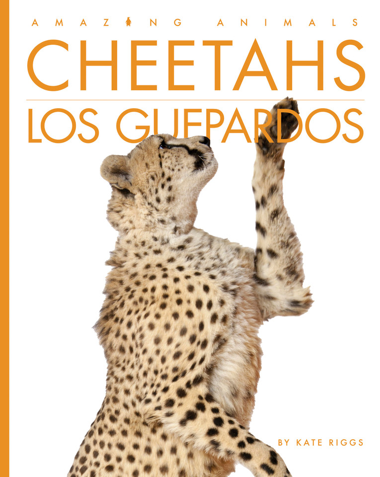 Cheetahs / Los guepardos (Amazing Animals) book cover by Kate Riggs