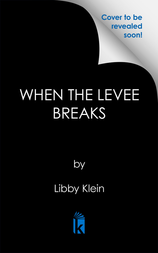 When the Levee Breaks (A Layla Virtue Mystery) book cover by Libby Klein