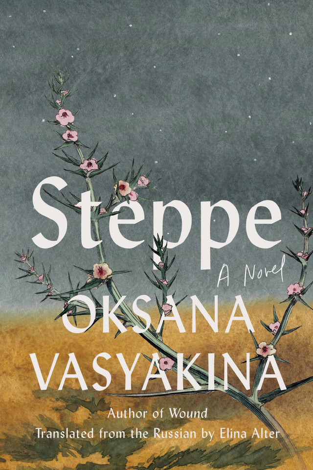 Steppe: A Novel book cover by Oksana Vasyakina