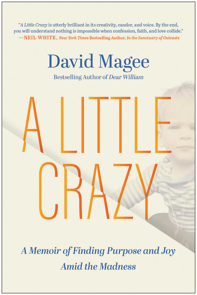 A Little Crazy: A Memoir of Finding Purpose and Joy Amid the Madness book cover by David Magee