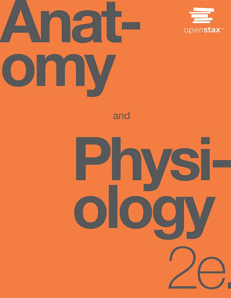 OpenStax: Anatomy and Physiology book cover by 