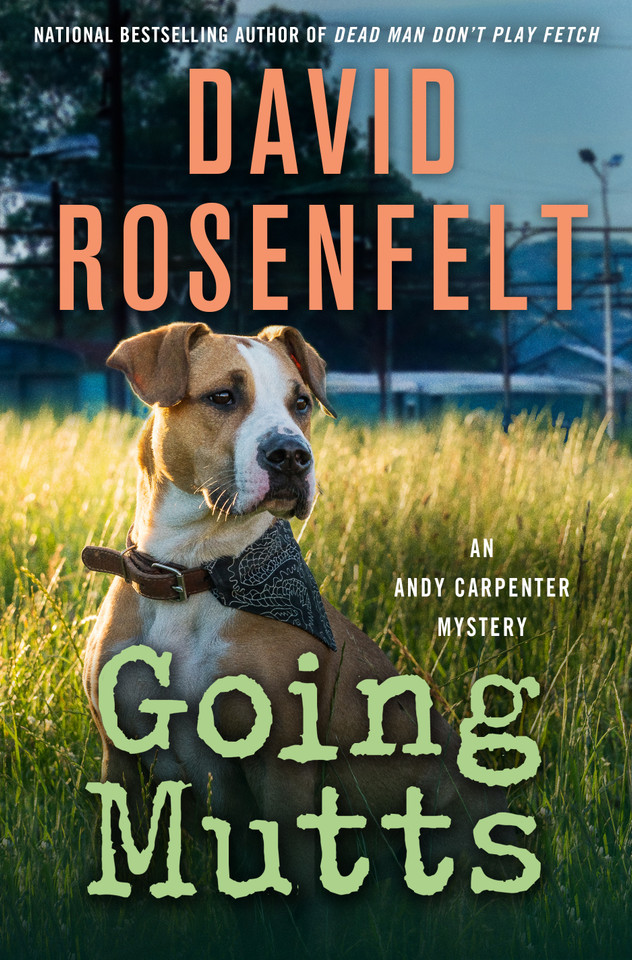 Going Mutts: An Andy Carpenter Mystery book cover by David Rosenfelt
