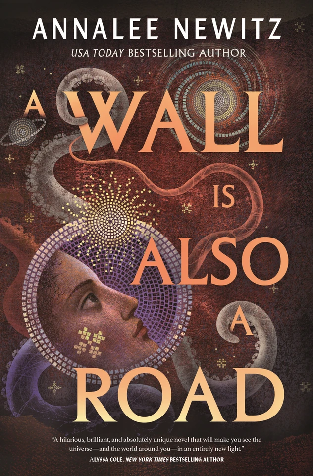 A Wall Is Also a Road book cover by Annalee Newitz