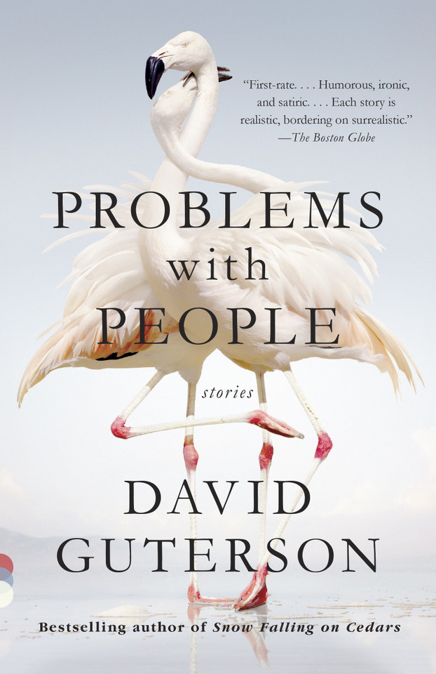 Problems with People (Vintage Contemporaries) book cover by David Guterson