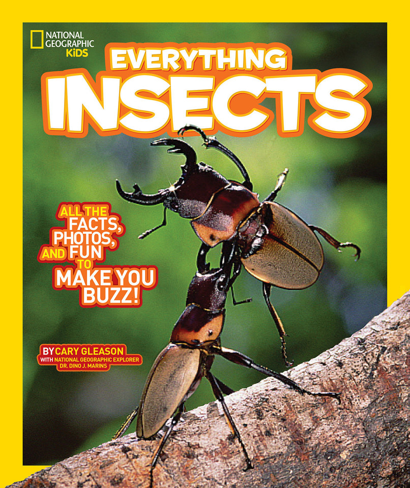 National Geographic Kids Everything Insects: All the Facts, Photos, and Fun to Make You Buzz (National Geographic Kids Everything) book cover by Carrie Gleason