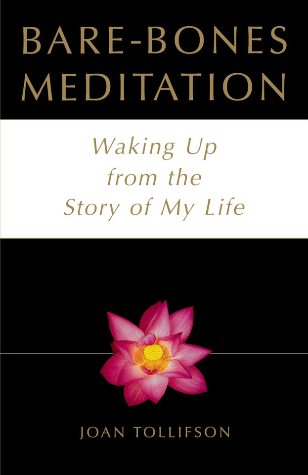 Bare-Bones Meditation: Waking Up from the Story of My Life book cover by Joan Tollifson