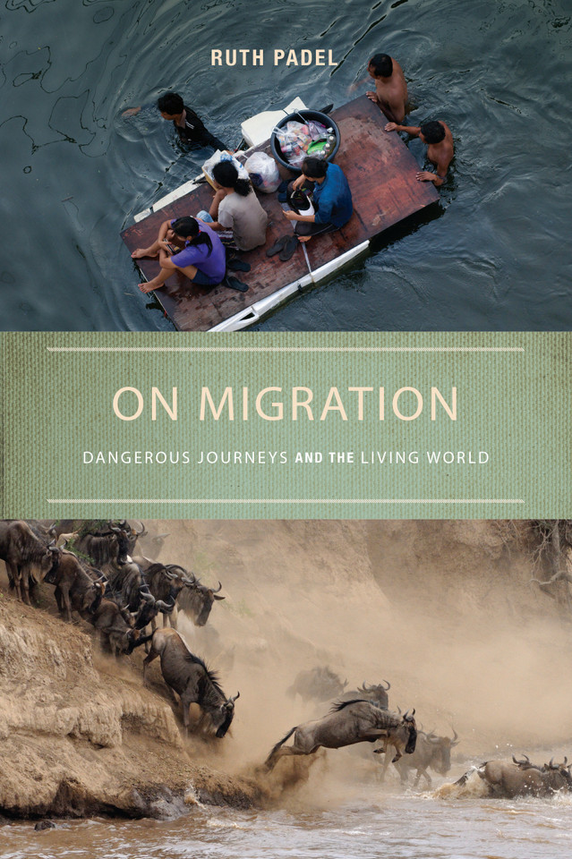 On Migration: Dangerous Journeys and the Living World book cover by Ruth Padel