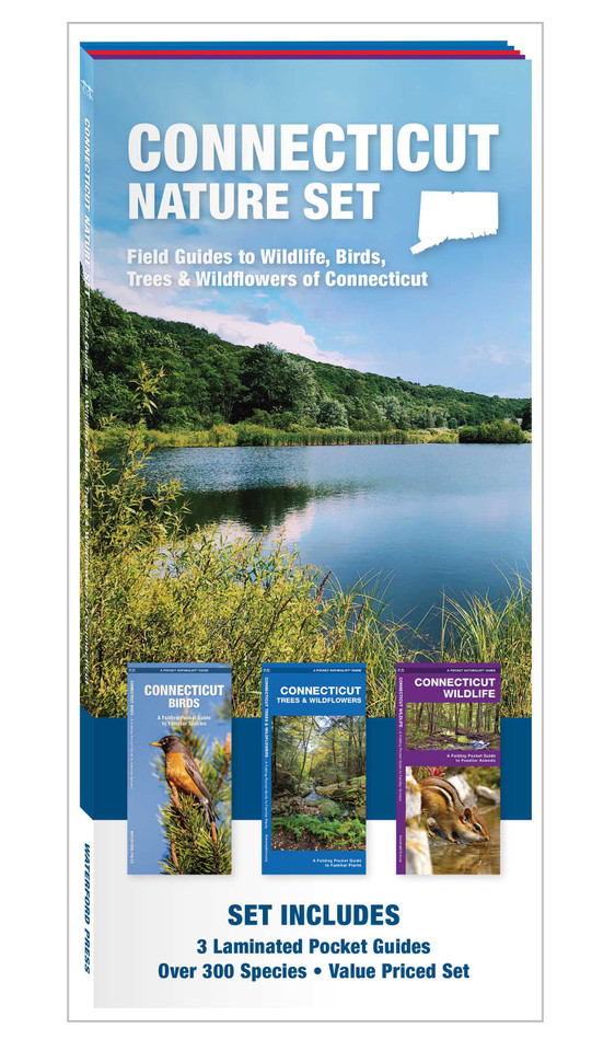 Connecticut Nature Set: Field Guides to Wildlife, Birds, Trees & Wildflowers of Connecticut (Nature Observation North America) book cover by 