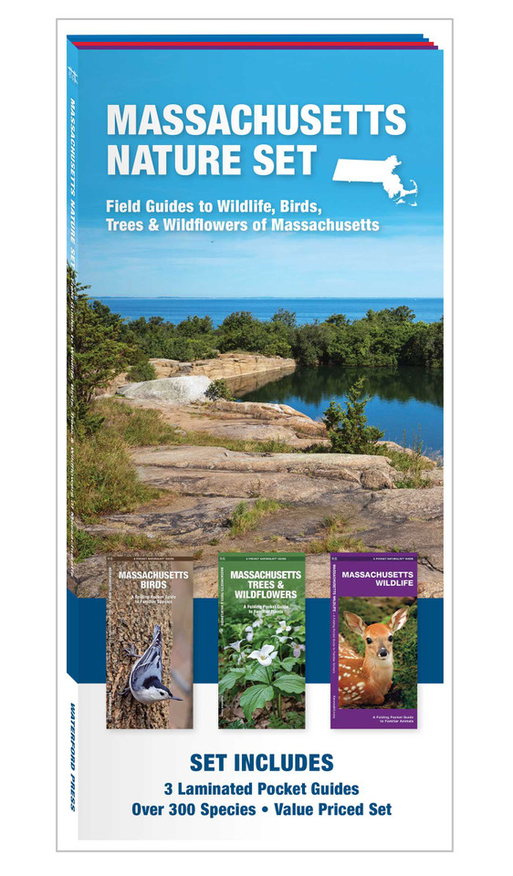 Massachusetts Nature Set: Field Guides to Wildlife, Birds, Trees & Wildflowers of Massachusetts (Nature Observation North America) book cover by 