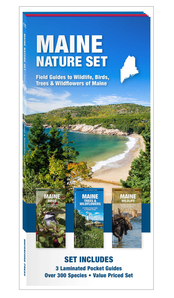 Maine Nature Set: Field Guides to Wildlife, Birds, Trees & Wildflowers of Maine (Nature Observation North America) book cover by 