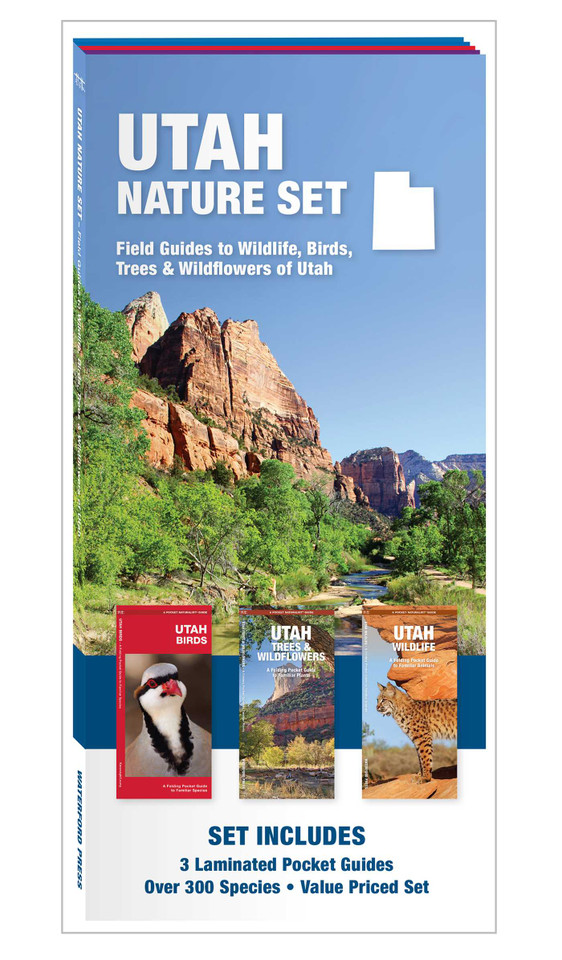 Utah Nature Set: Field Guides to Wildlife, Birds, Trees & Wildflowers of Utah (Nature Observation North America) book cover by 