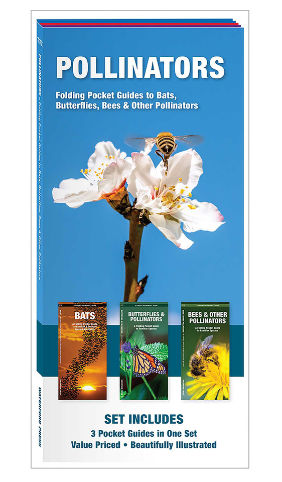 Pollinators: Folding Pocket Guides to Bees, Butterflies & Moths and Bats (Nature Observation North America) book cover by Waterford Press