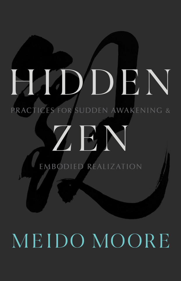 Hidden Zen: Practices for Sudden Awakening and Embodied Realization book cover by Meido Moore
