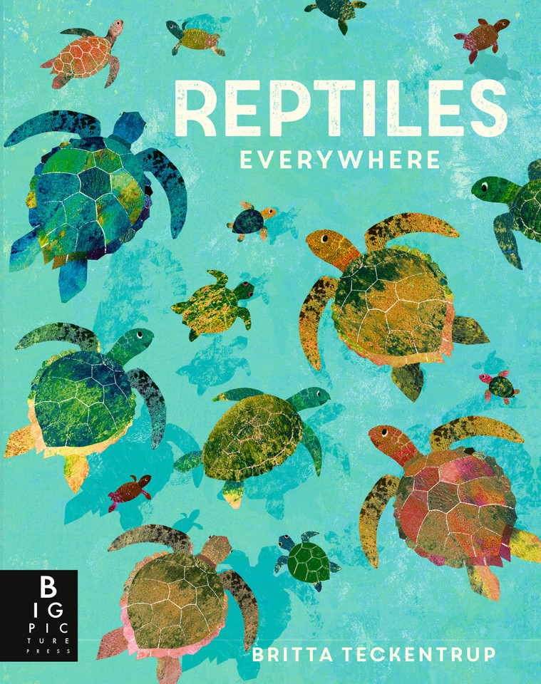 Reptiles Everywhere (Animals Everywhere) book cover by Camilla De La Bedoyere