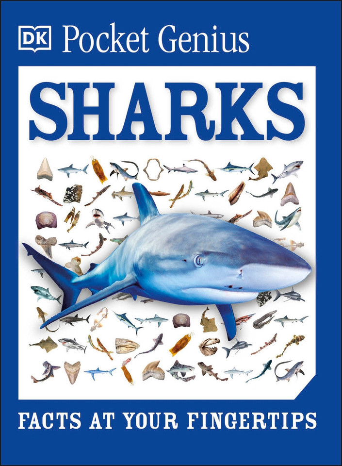 Pocket Genius Sharks: Facts at Your Fingertips (Pocket Genius) book cover by DK