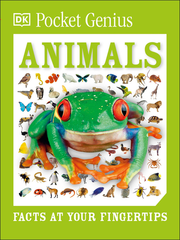 Pocket Genius Animals: Facts at Your Fingertips (Pocket Genius) book cover by DK