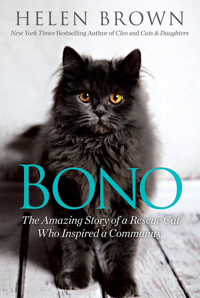 Bono: The Amazing Story of a Rescue Cat Who Inspired a Community book cover by Helen Brown