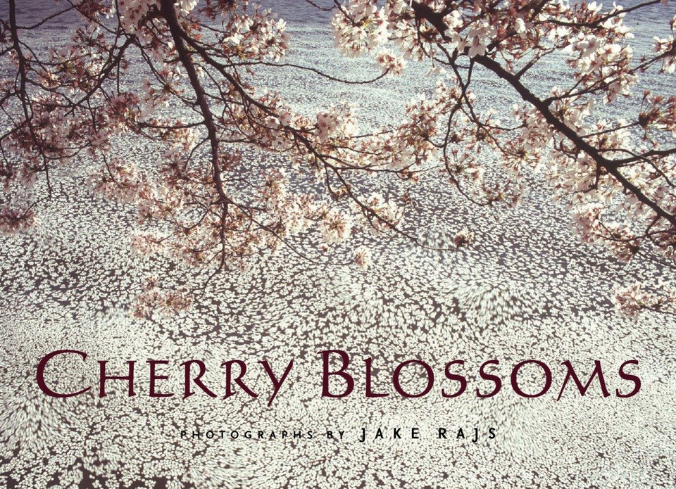 Cherry Blossoms book cover by 