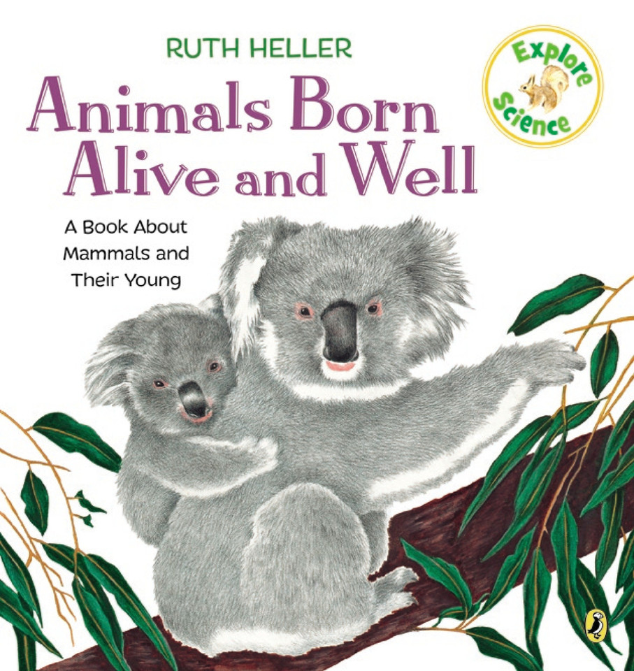 Animals Born Alive and Well: A Book About Mammals (Explore!) book cover by Ruth Heller
