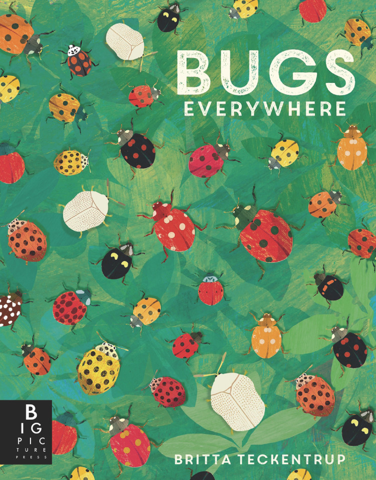 Bugs Everywhere (Animals Everywhere) book cover by Lily Murray
