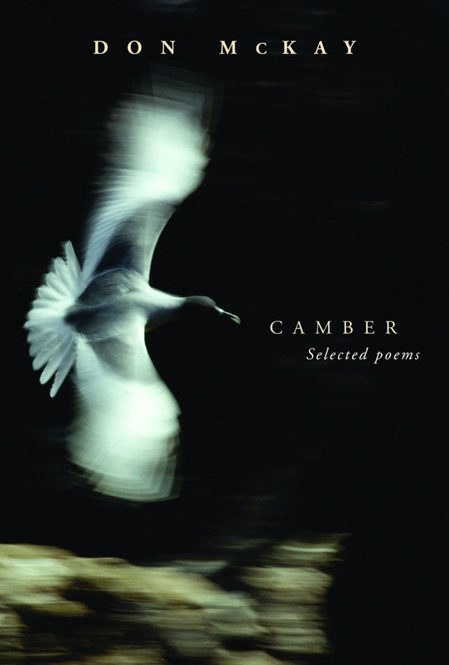 Camber book cover by Don McKay