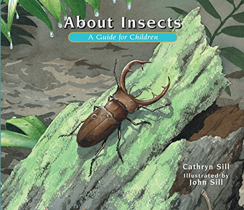About Insects: A Guide for Children Cover