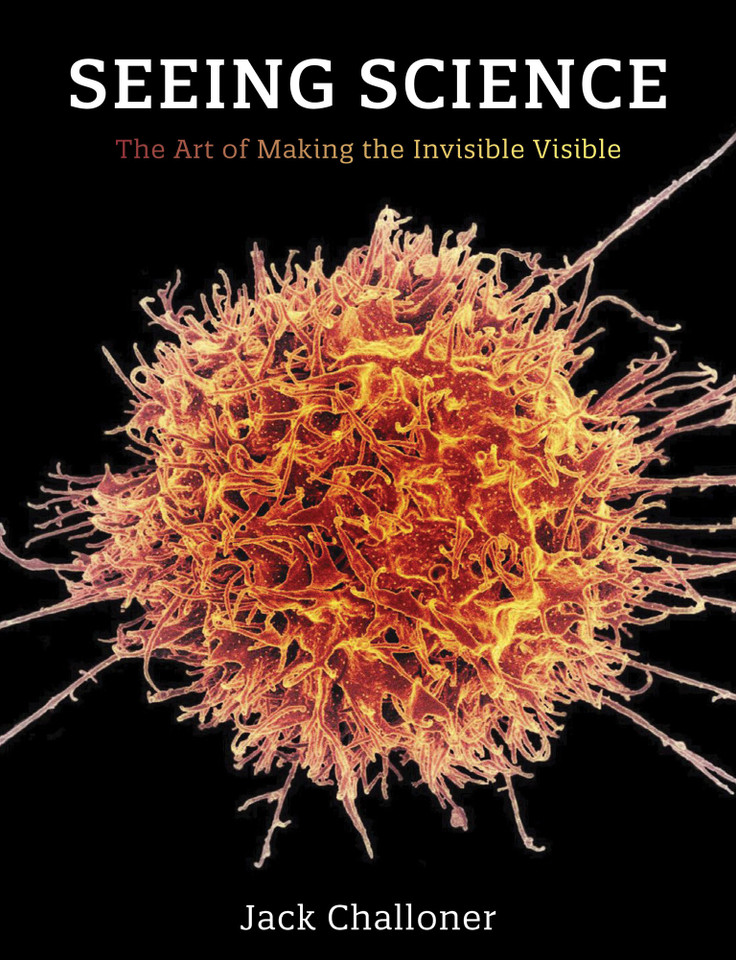 Seeing Science: The Art of Making the Invisible Visible book cover by Jack Challoner
